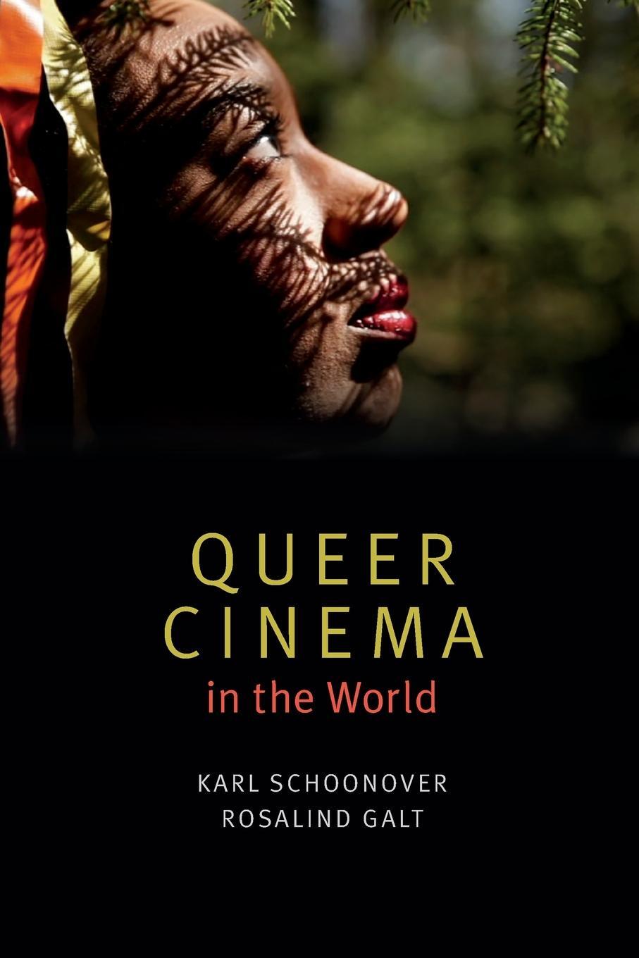 Cover: 9780822362616 | Queer Cinema in the World | Karl Schoonover | Taschenbuch | Paperback