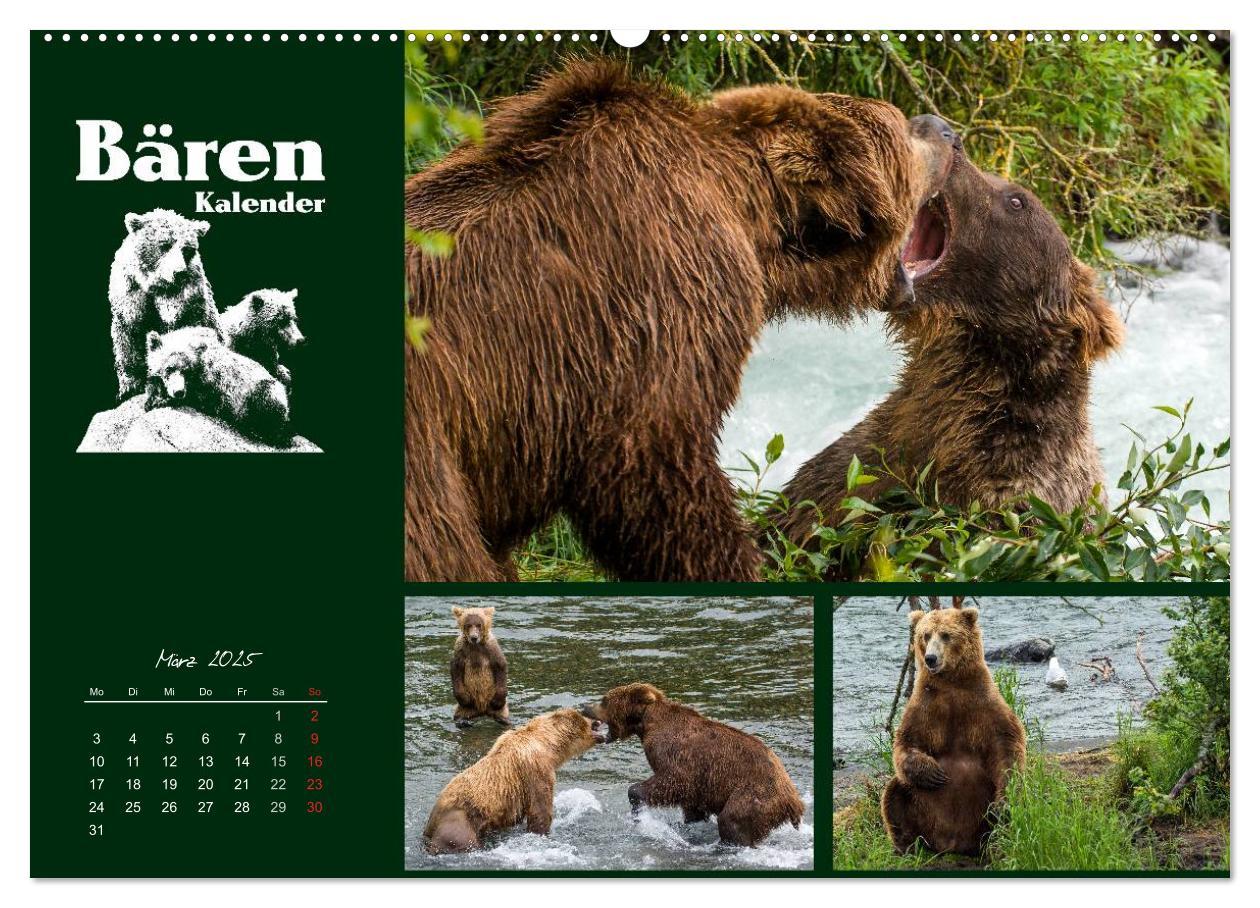 Bild: 9783435709519 | Bärenkalender (Wandkalender 2025 DIN A2 quer), CALVENDO Monatskalender