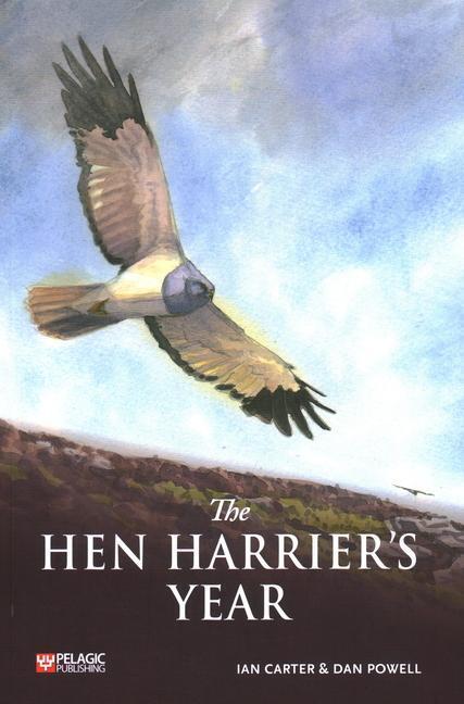 Cover: 9781784273859 | The Hen Harrier's Year | Ian Carter | Taschenbuch | Englisch | 2022