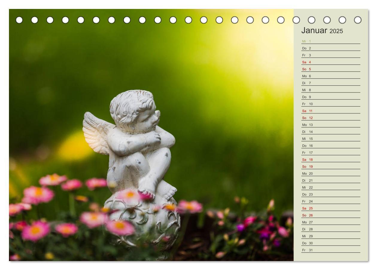 Bild: 9783435370818 | Engel - Begleiter für jeden Tag (Tischkalender 2025 DIN A5 quer),...