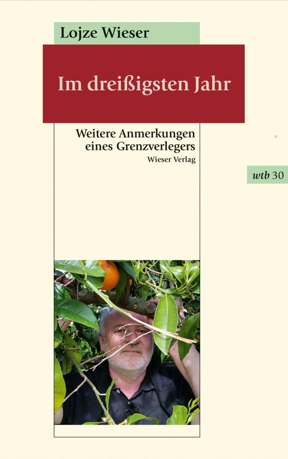 Cover: 9783990292426 | Im dreißigsten Jahr | Lojze Wieser | Taschenbuch | 422 S. | Deutsch