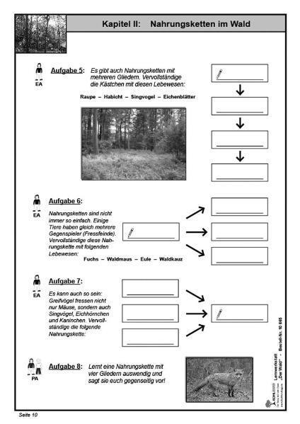 Bild: 9783866326651 | Lernwerkstatt - Der Wald | Broschüre | Lernwerkstatt | 48 S. | Deutsch