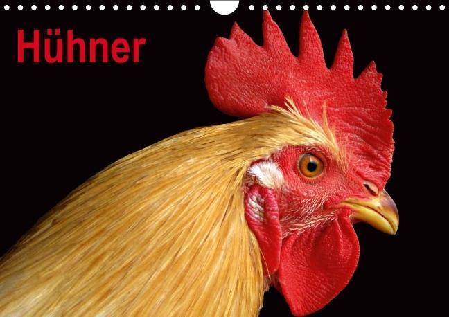 Cover: 9783660532081 | Hühner / Geburtstagskalender (Wandkalender immerwährend DIN A4 quer)