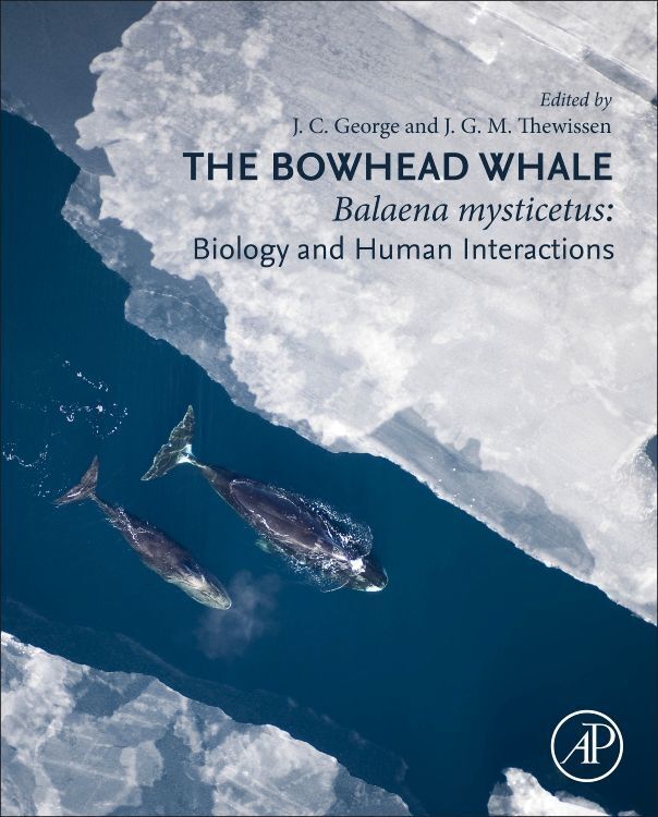 Cover: 9780128189696 | The Bowhead Whale | Balaena Mysticetus: Biology and Human Interactions