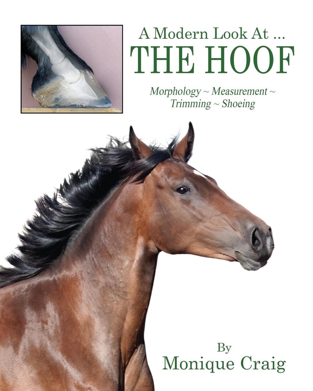 Cover: 9781478735311 | A Modern Look At ... THE HOOF | Monique Craig | Taschenbuch | Englisch
