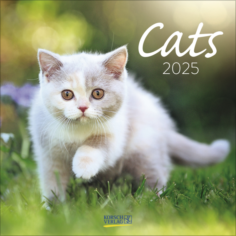 Cover: 9783731876373 | Cats 2025 | Korsch Verlag | Kalender | Englisch Broschur | 13 S.