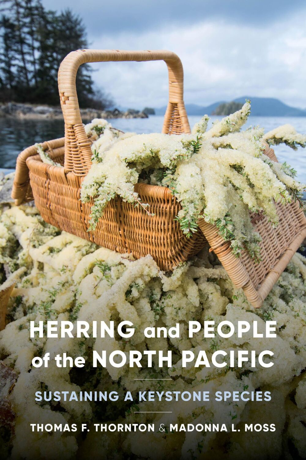 Cover: 9780295748290 | Herring and People of the North Pacific | Madonna L. Moss (u. a.)