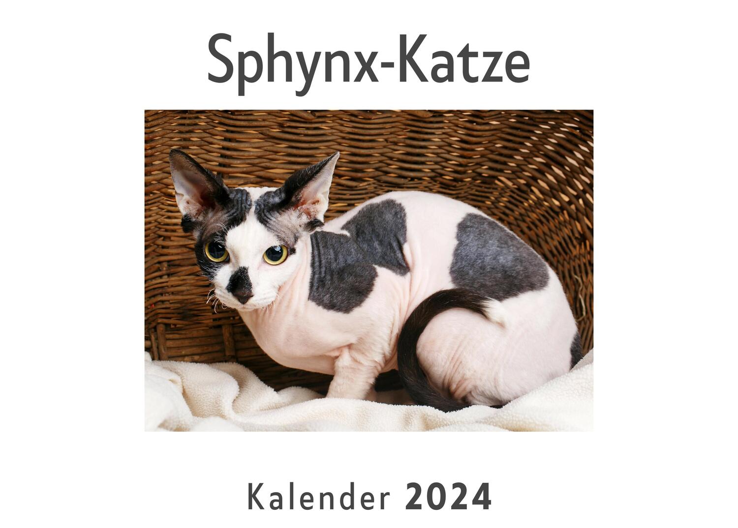 Cover: 9783750557086 | Sphynx-Katze (Wandkalender 2024, Kalender DIN A4 quer,...