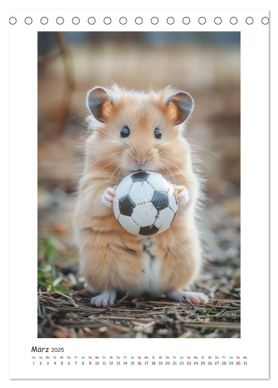 Bild: 9783435086962 | Lustige kleine Hamster (Tischkalender 2025 DIN A5 hoch), CALVENDO...