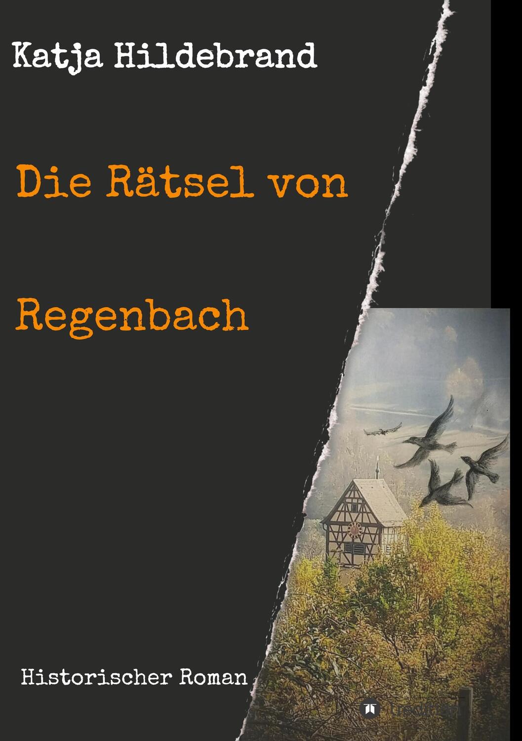 Cover: 9783749768141 | Die Rätsel von Regenbach | Historischer Roman | Katja Hildebrand