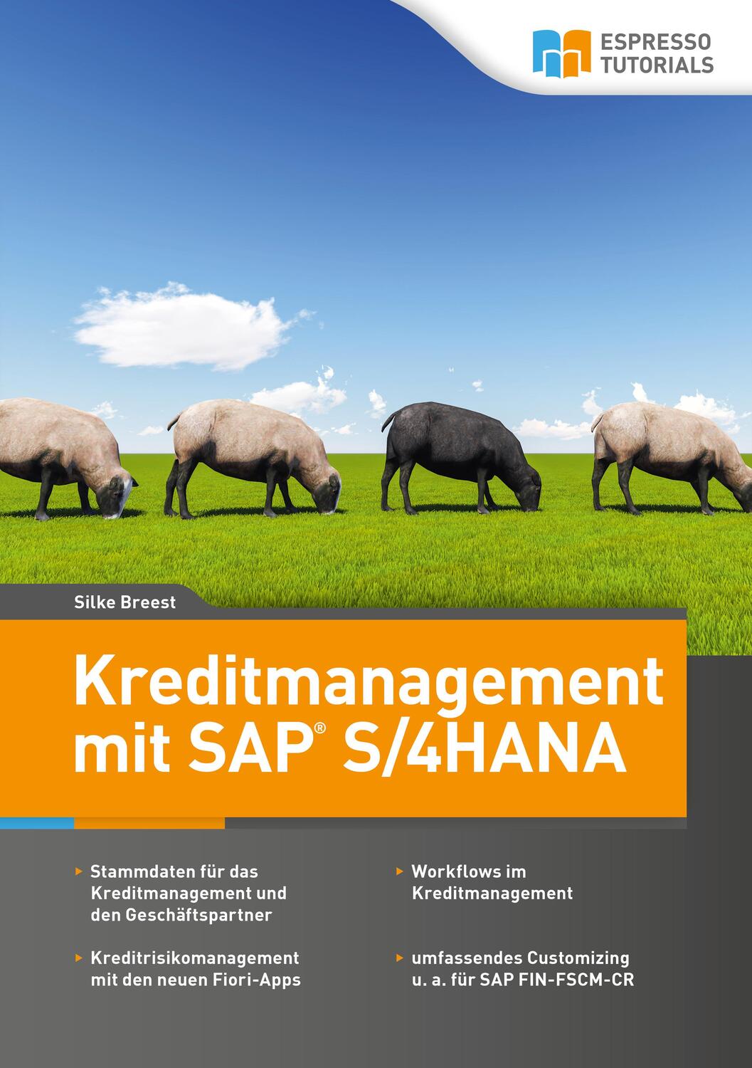 Cover: 9783960122364 | Kreditmanagement mit SAP S/4HANA | Breest Silke | Taschenbuch | 244 S.