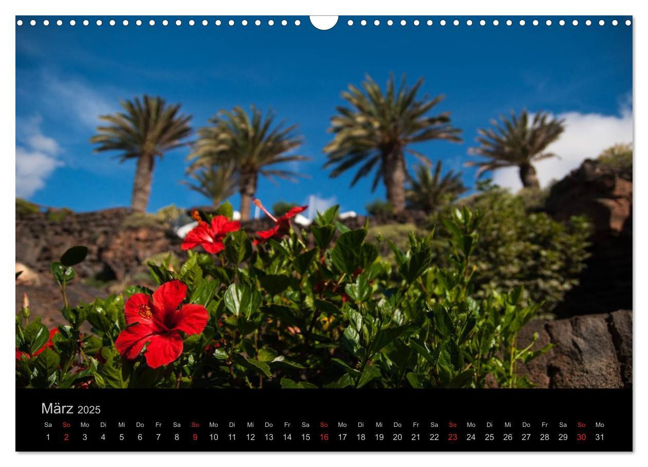 Bild: 9783435721221 | Unterwegs auf Lanzarote (Wandkalender 2025 DIN A3 quer), CALVENDO...