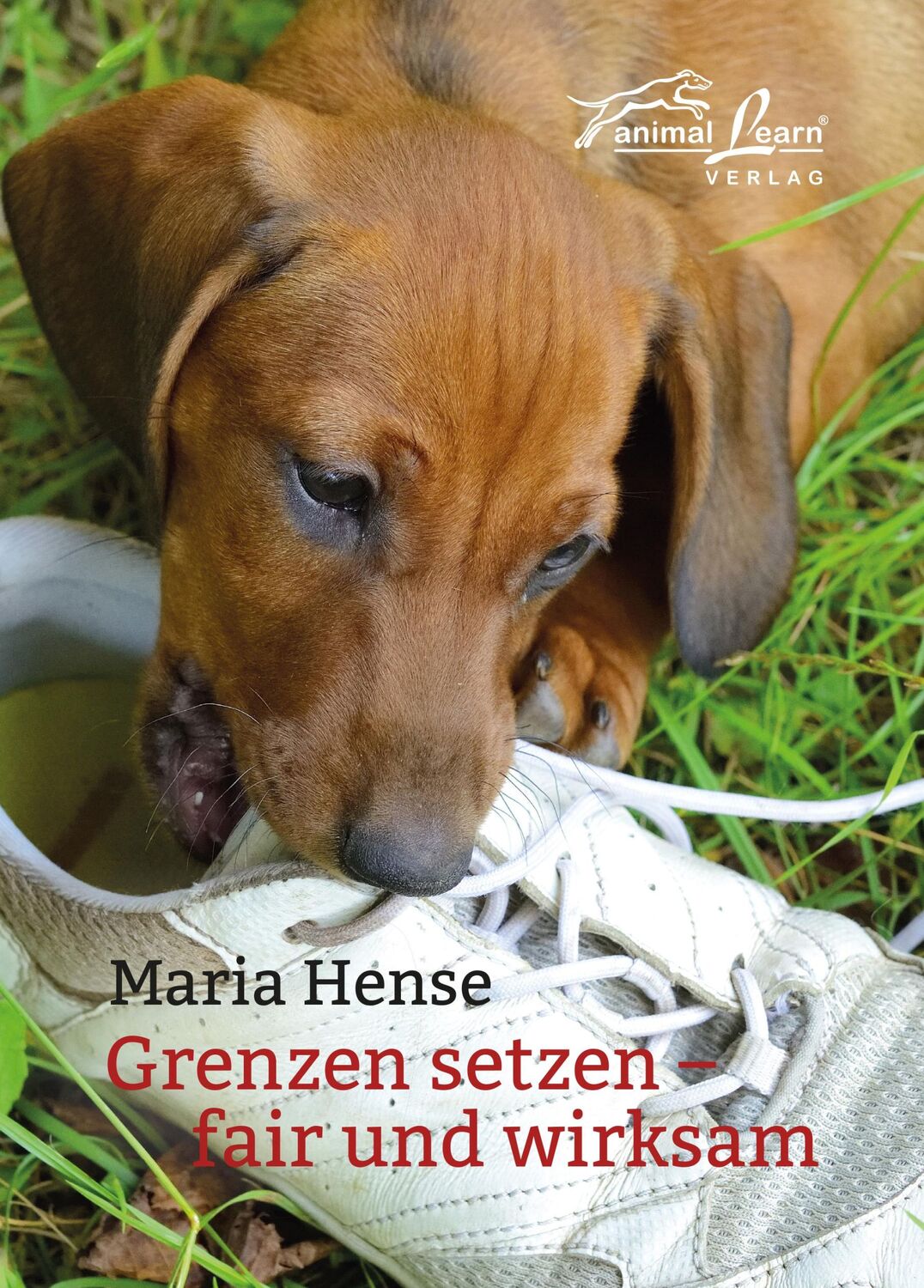 Cover: 9783936188745 | Grenzen setzen | fair und wirksam | Maria Hense | Buch | 125 S. | 2020