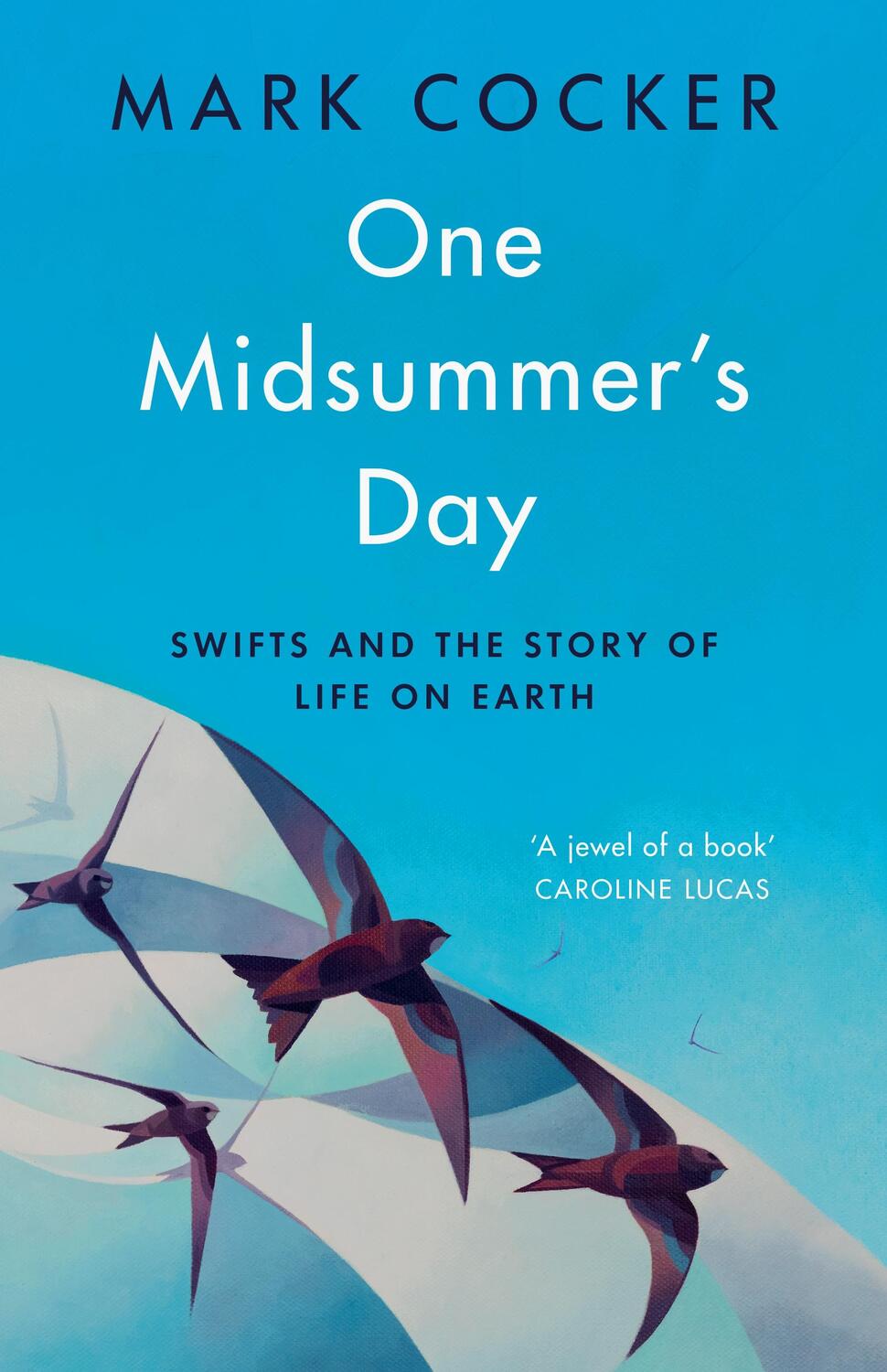 Cover: 9781787332799 | One Midsummer's Day | Swifts and the Story of Life on Earth | Cocker
