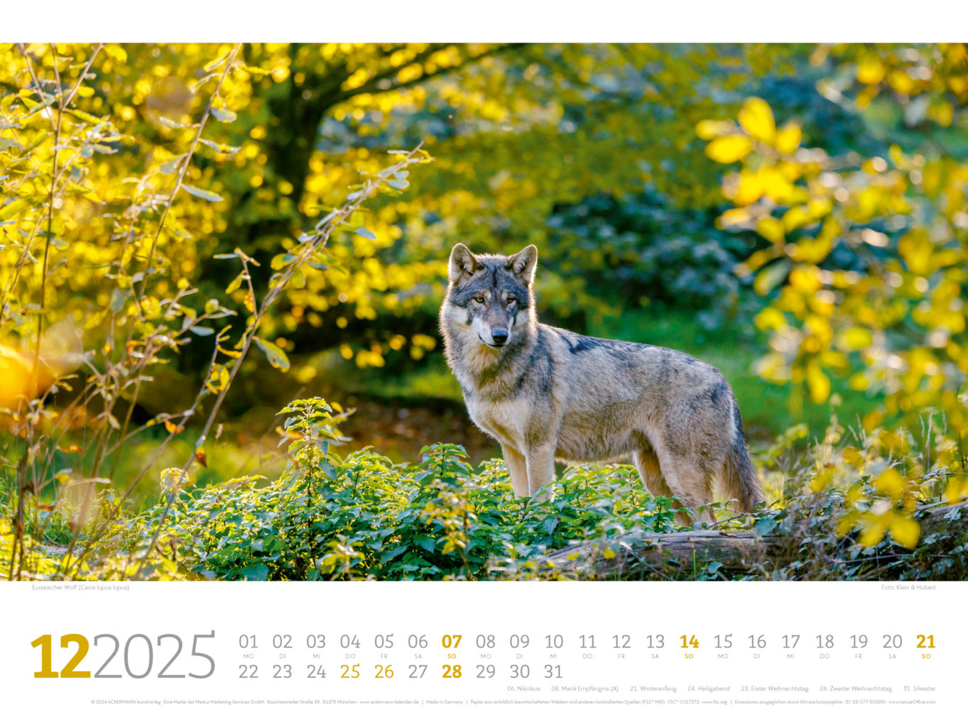 Bild: 9783838425825 | Tierwelt Wald Kalender 2025 | Ackermann Kunstverlag | Kalender | 14 S.