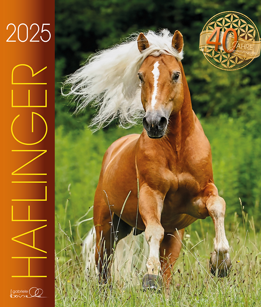 Cover: 9783964120762 | Haflinger 2025 | Haflinger Pferde | Gabriele Boiselle | Kalender