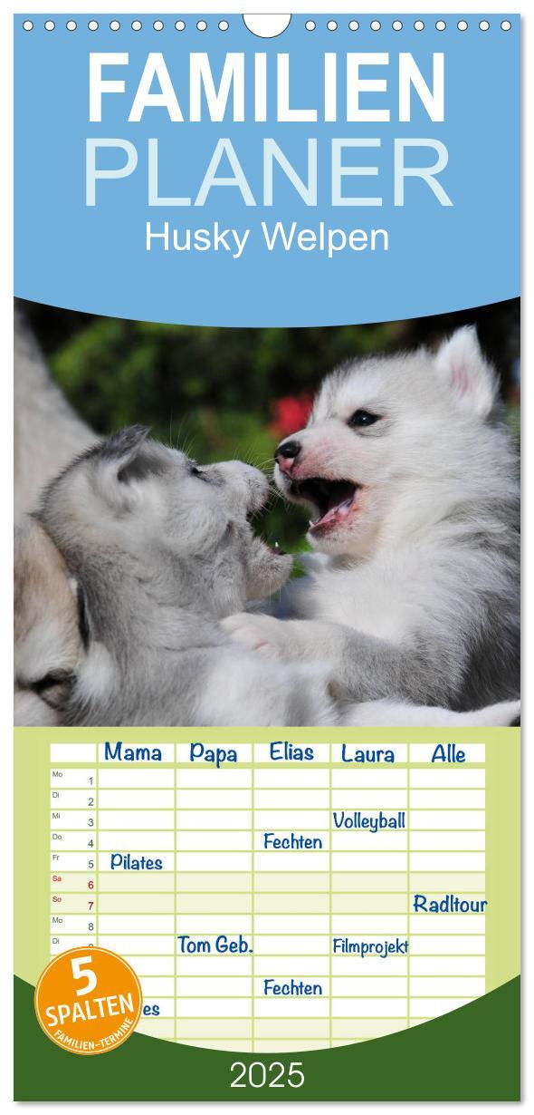 Cover: 9783457109922 | Familienplaner 2025 - Husky Welpen mit 5 Spalten (Wandkalender, 21...