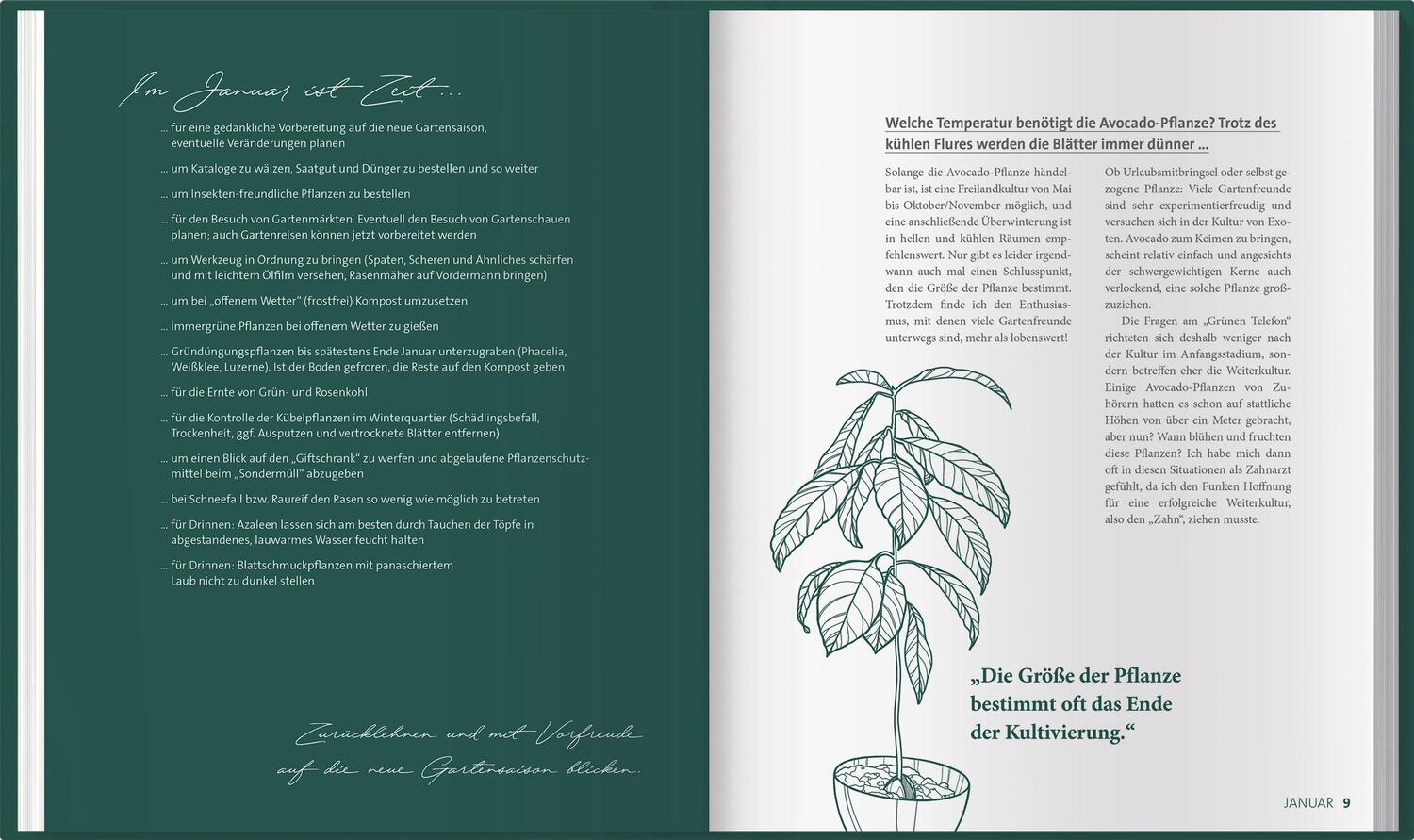 Bild: 9783784354910 | mdr Garten - Das grüne Telefon | Claudia Look-Hirnschal (u. a.) | Buch