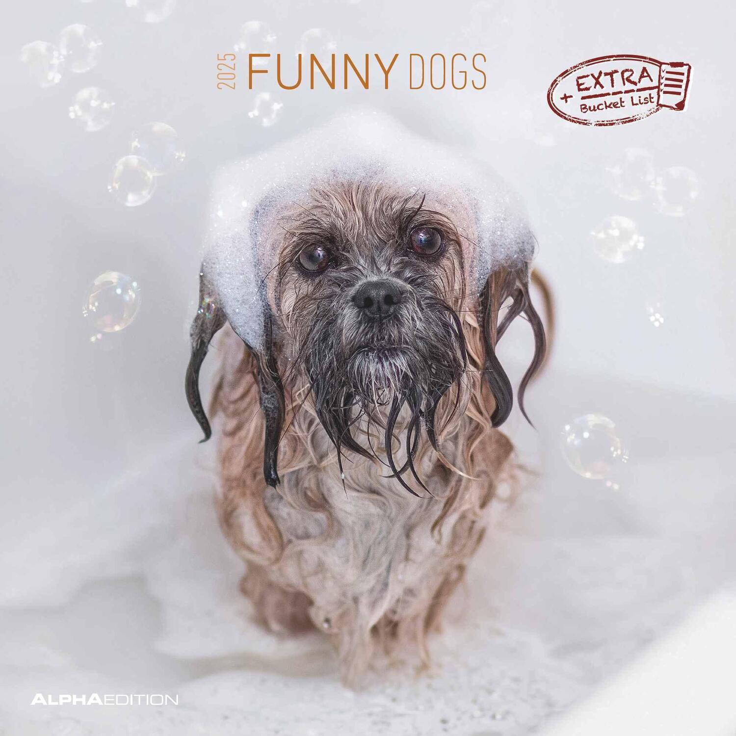 Cover: 4251732340810 | Funny Dogs 2025 - Broschürenkalender 30x30 cm (30x60 geöffnet) -...