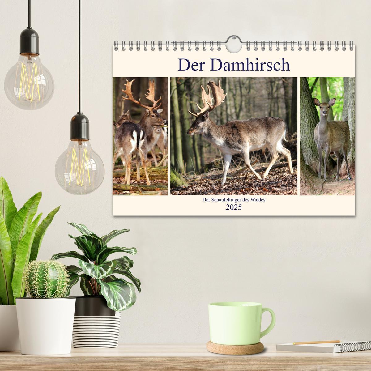 Bild: 9783435532872 | Der Damhirsch - Der Schaufelträger des Waldes (Wandkalender 2025...