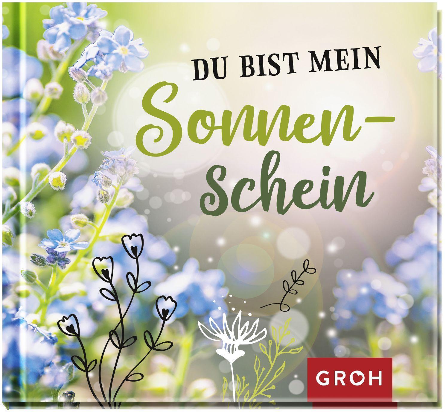 Bild: 9783848524419 | Du bist mein Sonnenschein | Groh Verlag | Buch | Hardcover | Deutsch
