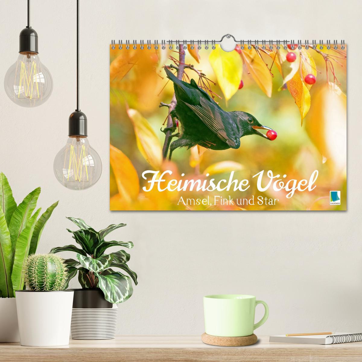 Bild: 9783383850691 | Amsel, Fink und Star: Heimische Vögel (Wandkalender 2025 DIN A4...