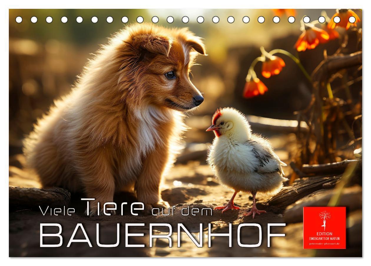 Cover: 9783383838132 | Viele Tiere auf dem Bauernhof (Tischkalender 2025 DIN A5 quer),...