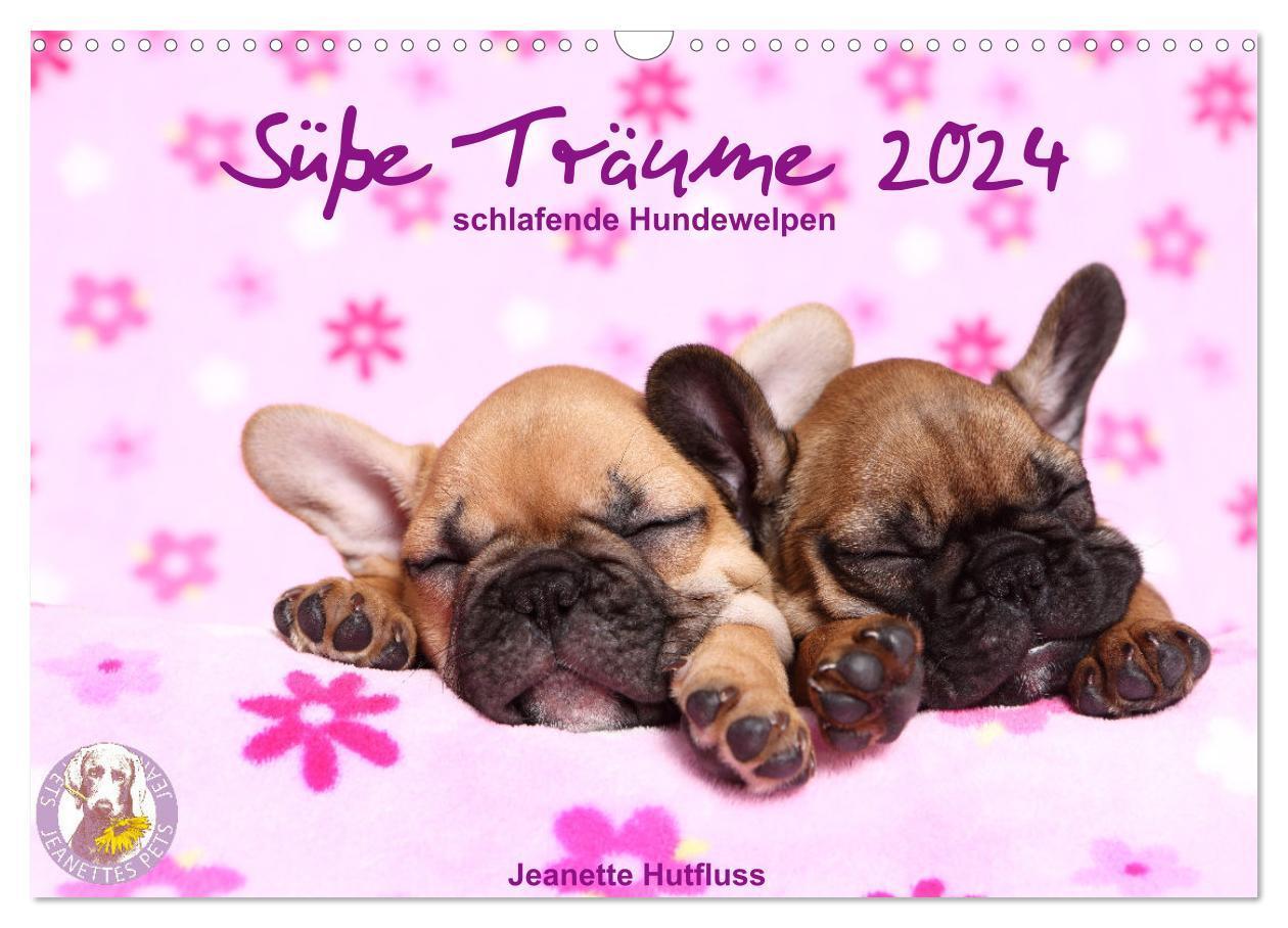 Cover: 9783675530089 | Süße Träume 2024 - schlafende Hundewelpen (Wandkalender 2024 DIN A3...