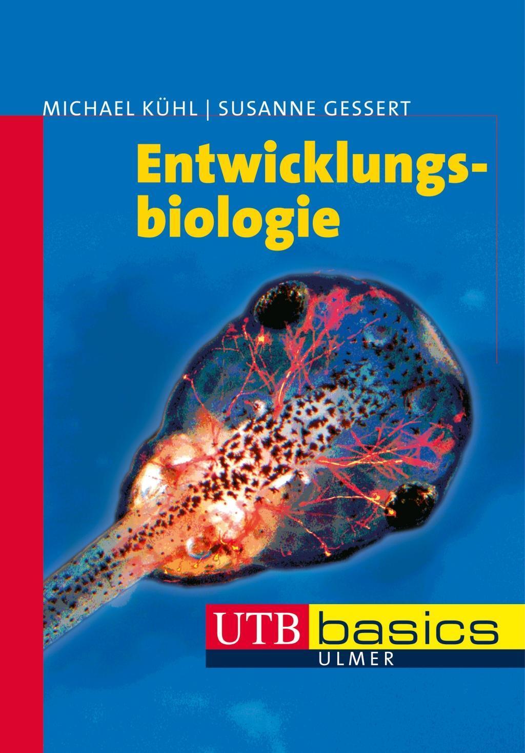 Cover: 9783825233310 | Entwicklungsbiologie | utb basics | Michael/Gessert, Susanne Kühl