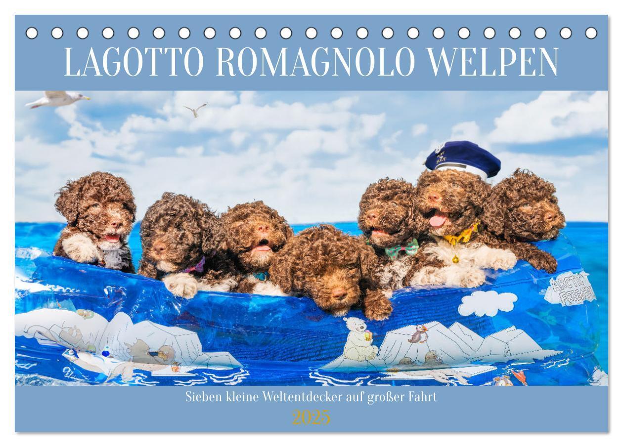 Cover: 9783457200322 | Lagotto Romagnolo Welpen - Sieben kleine Weltentdecker auf großer...