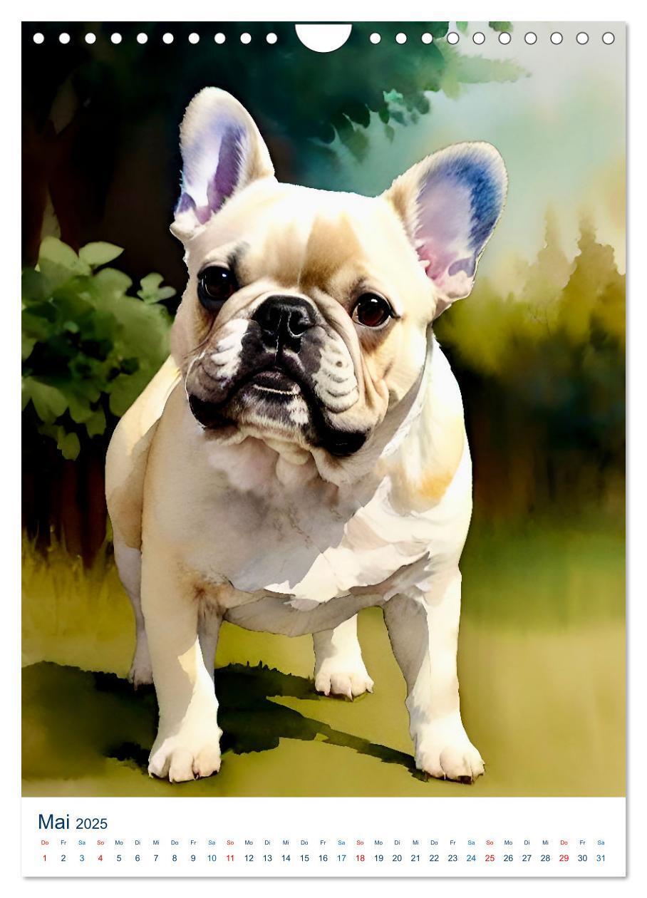 Bild: 9783383786143 | Französische Bulldoggen. Kunstvoll gestaltete Portraits...