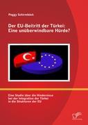 Cover: 9783842879348 | Der EU-Beitritt der Türkei: Eine unüberwindbare Hürde? | Schirmböck