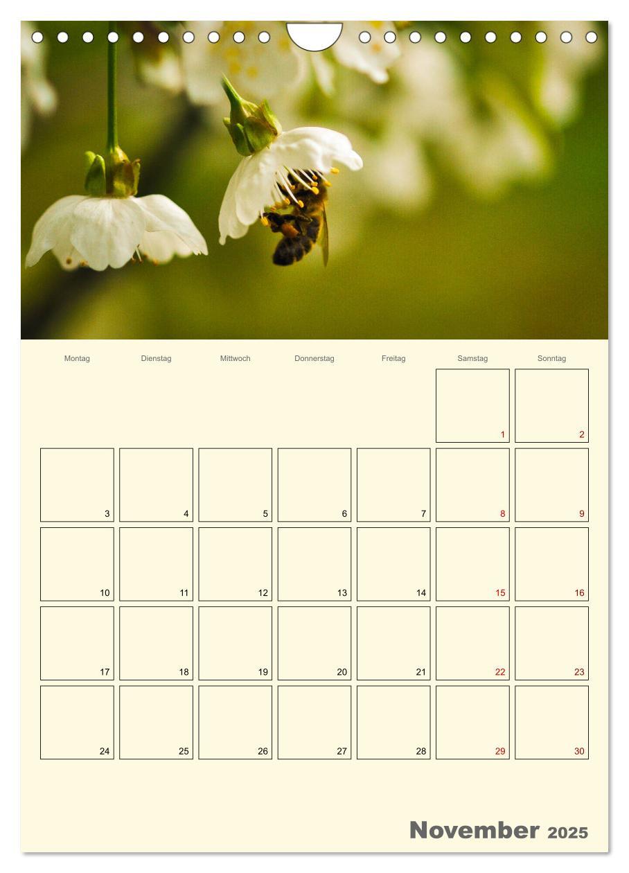 Bild: 9783435958023 | Bienen im Naturgarten (Wandkalender 2025 DIN A4 hoch), CALVENDO...