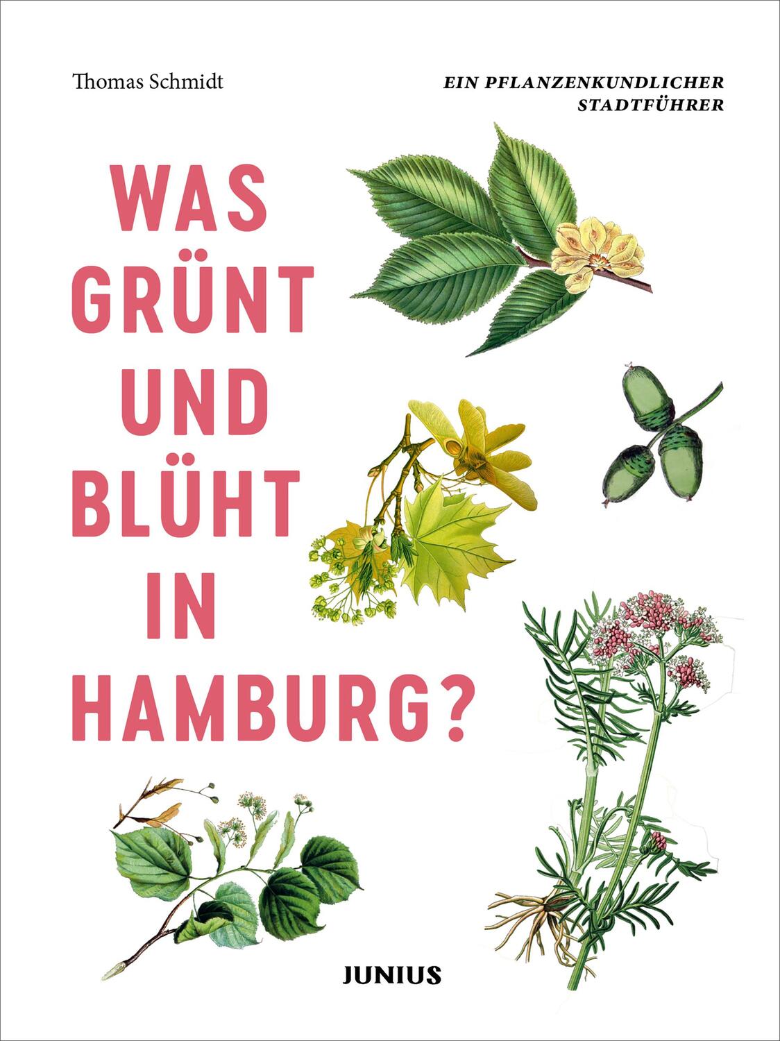 Cover: 9783960605218 | Was grünt und blüht in Hamburg? | Ein pflanzenkundlicher Stadtführer