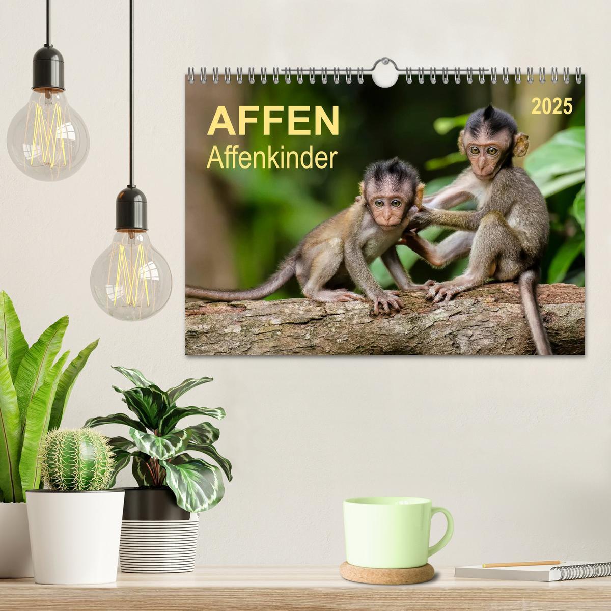 Bild: 9783435592678 | Affen - Affenkinder (Wandkalender 2025 DIN A4 quer), CALVENDO...