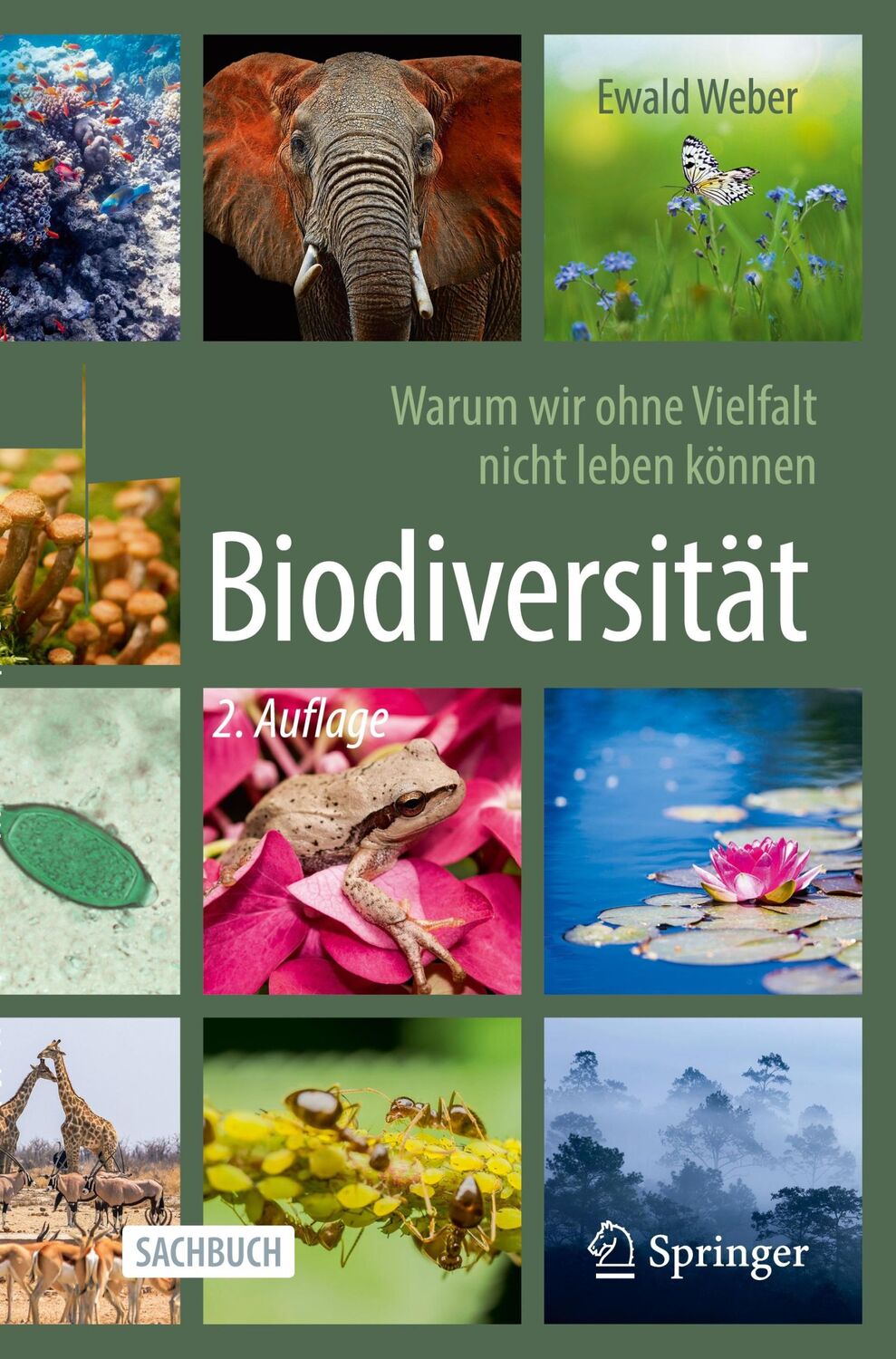 Cover: 9783662693445 | Biodiversität - Warum wir ohne Vielfalt nicht leben können | Weber