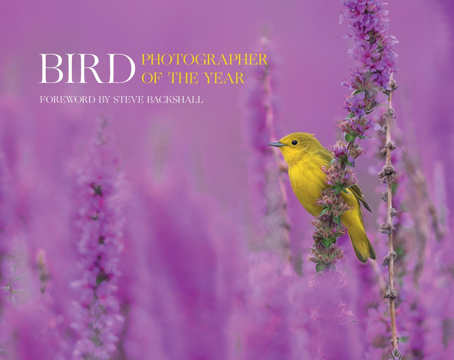 Cover: 9780008547578 | Bird Photographer of the Year | Collection 7 | Year | Buch | Englisch