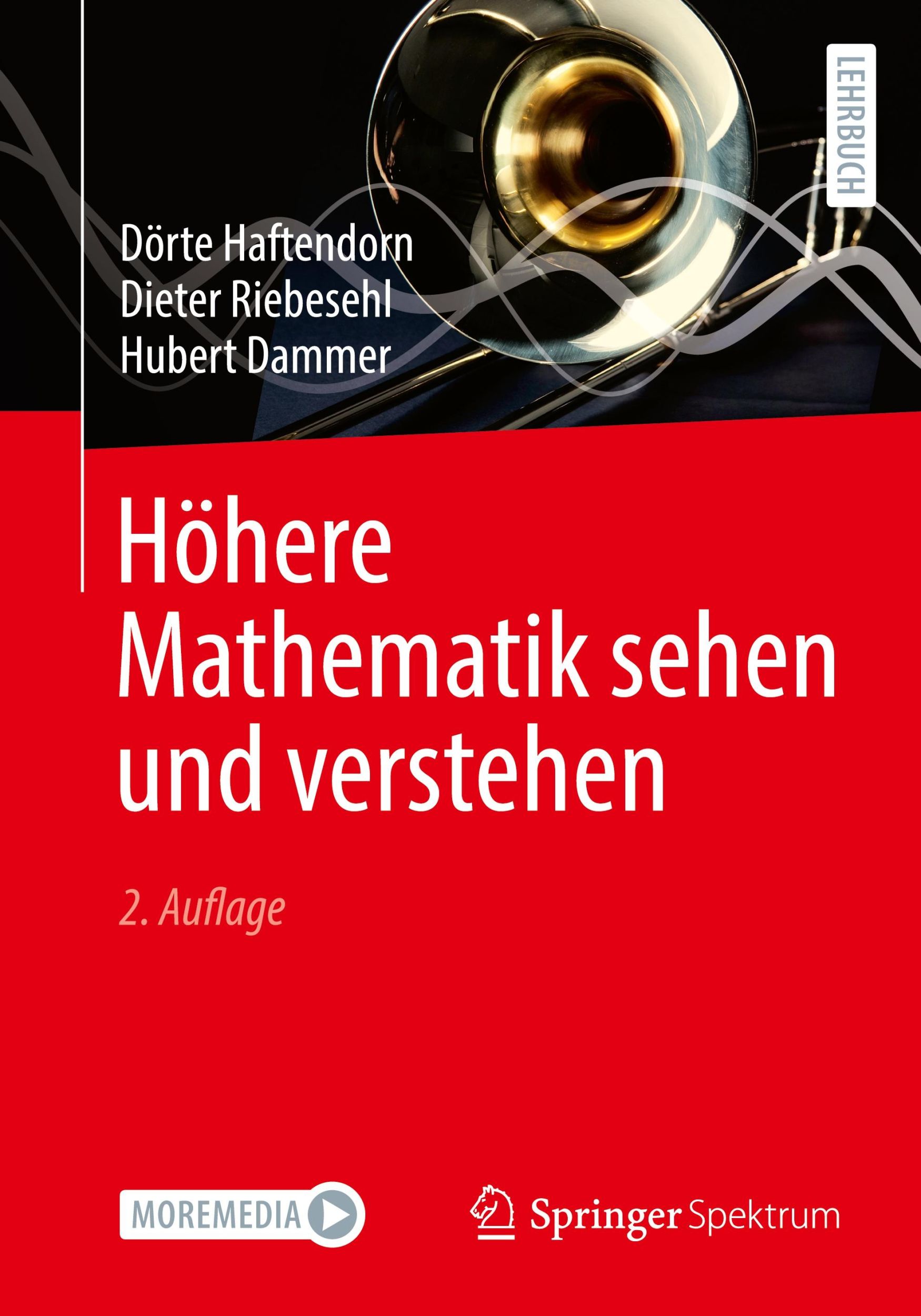 Cover: 9783662692912 | Höhere Mathematik sehen und verstehen | Dörte Haftendorn (u. a.) | xii