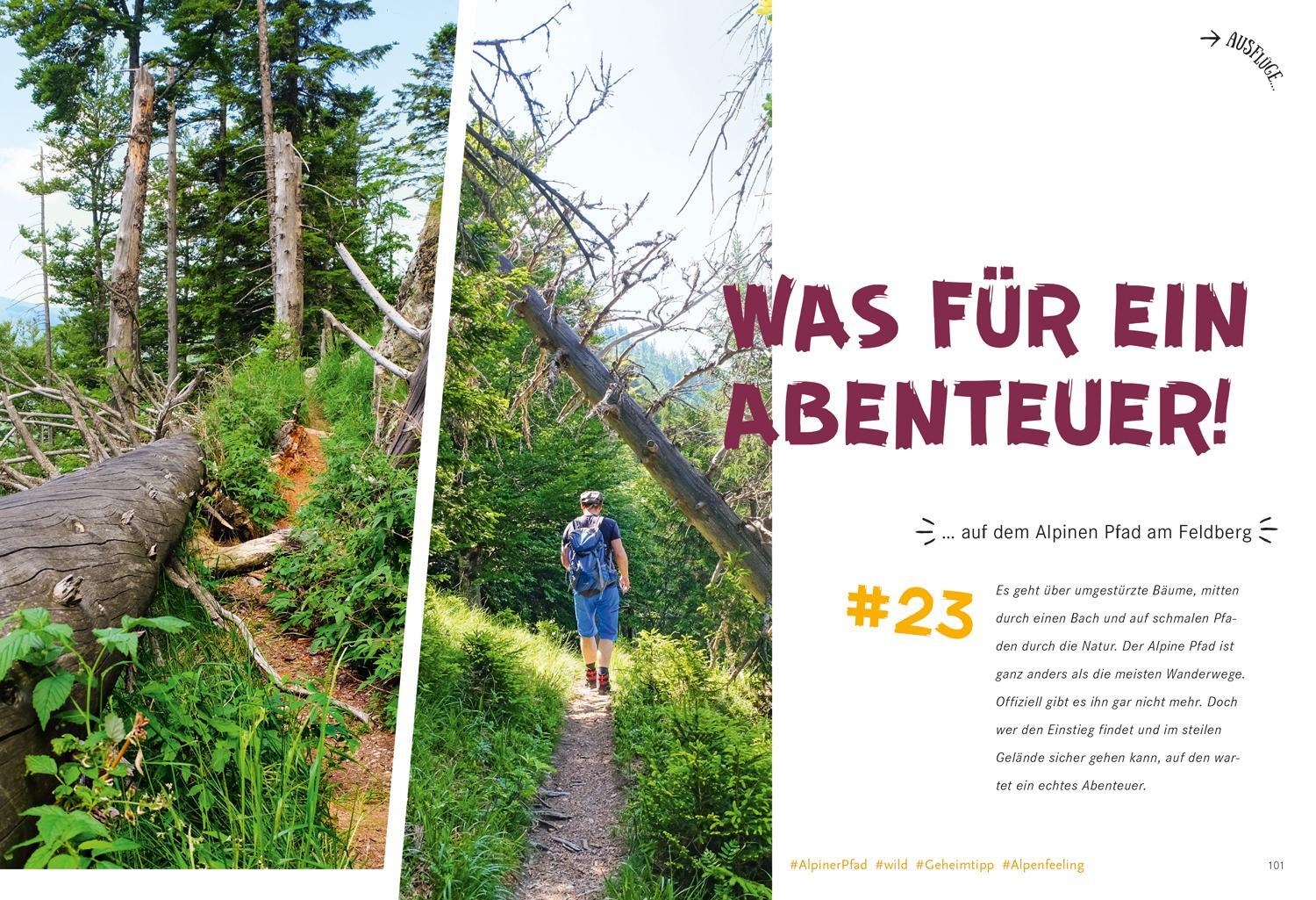 Bild: 9783770180783 | 52 kleine & große Eskapaden im Schwarzwald | Ab nach draußen! | Weik