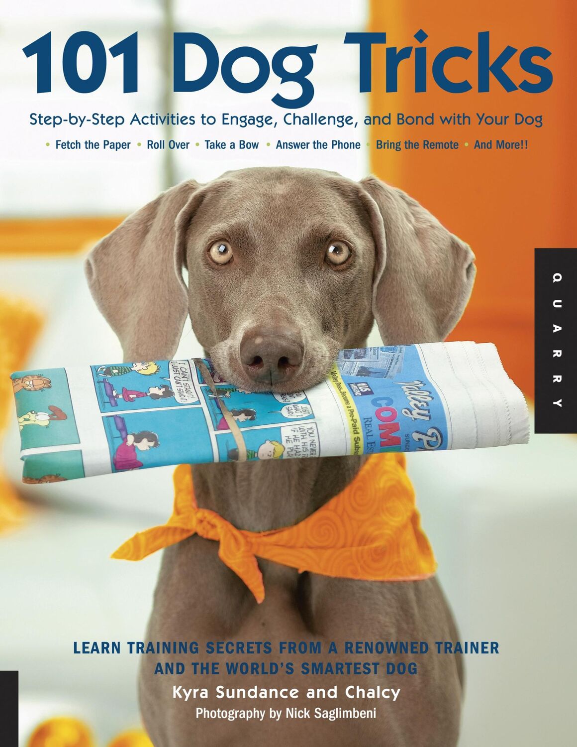 Cover: 9781592533251 | 101 Dog Tricks | Chalcy (u. a.) | Taschenbuch | Englisch | 2007