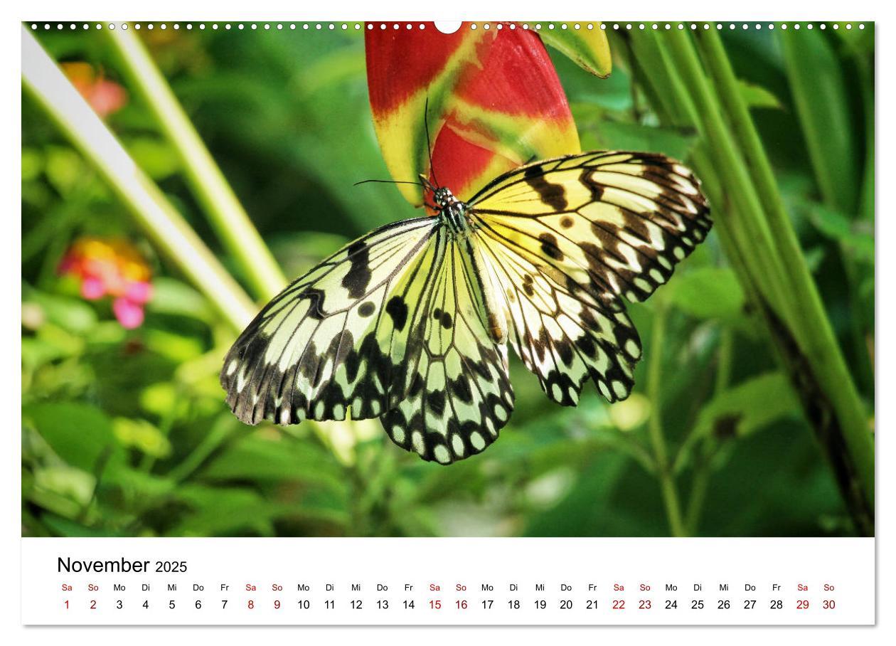 Bild: 9783435145225 | Philippinen - Faszinierende Inselwelten (Wandkalender 2025 DIN A2...