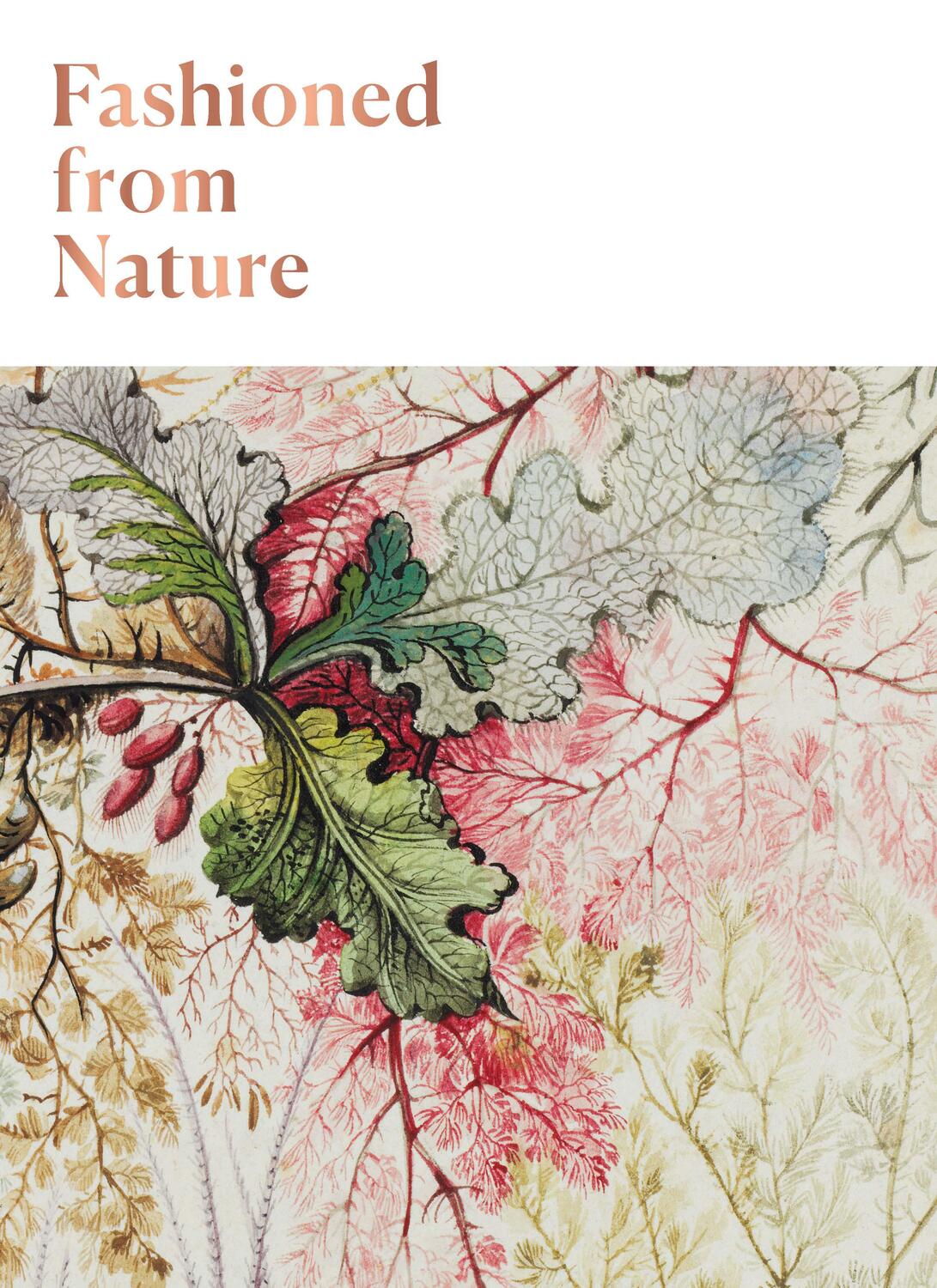 Cover: 9781851779451 | Fashioned From Nature | Taschenbuch | Englisch | 2018