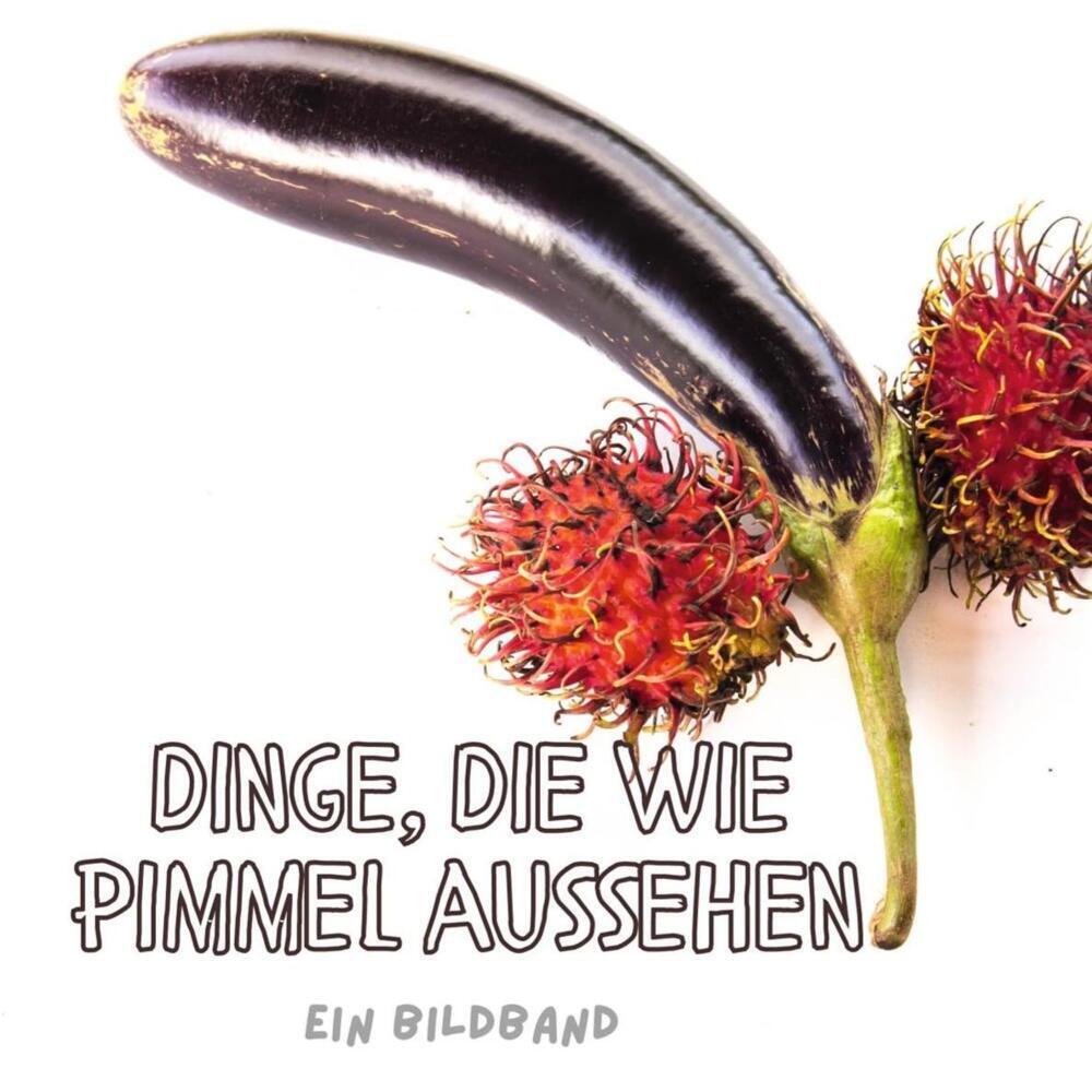 Cover: 9783750504141 | Dinge, die wie Pimmel aussehen | Ein Bildband | Stefan Gruber | Buch