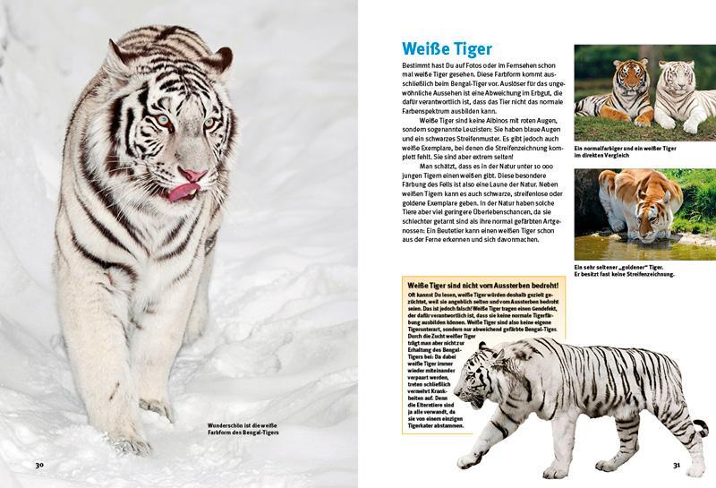 Bild: 9783866593046 | Entdecke die Tiger | Thomas Wilms (u. a.) | Buch | 64 S. | Deutsch