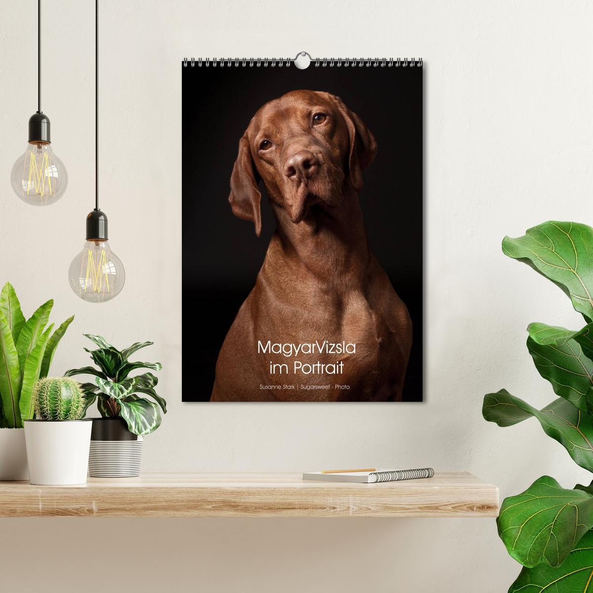 Bild: 9783457015742 | Magyar Vizsla im Portrait (Wandkalender 2025 DIN A3 hoch), CALVENDO...