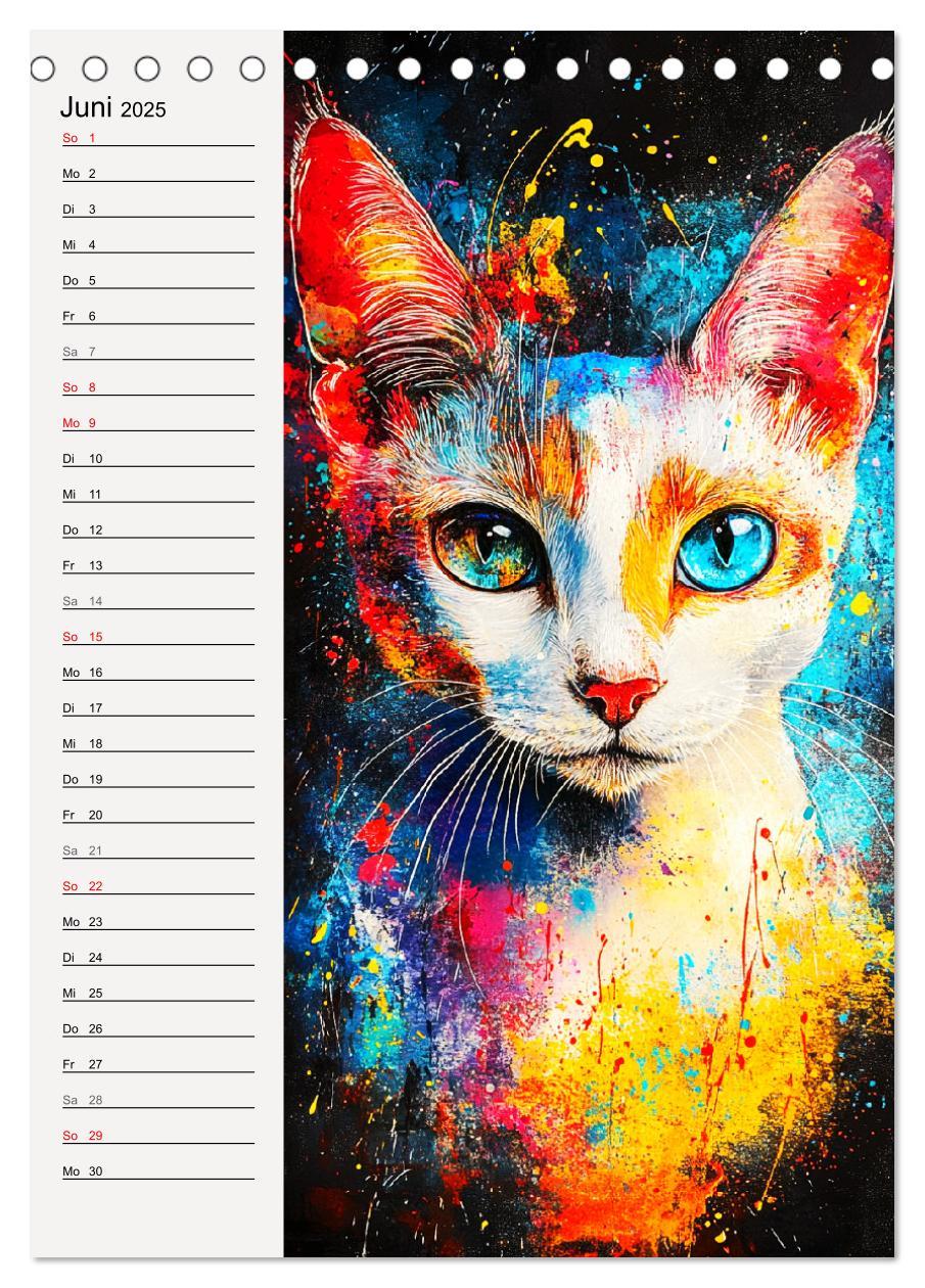 Bild: 9783457211991 | Katzenportraits. Moderne Samtpfoten-Kunst (Tischkalender 2025 DIN...