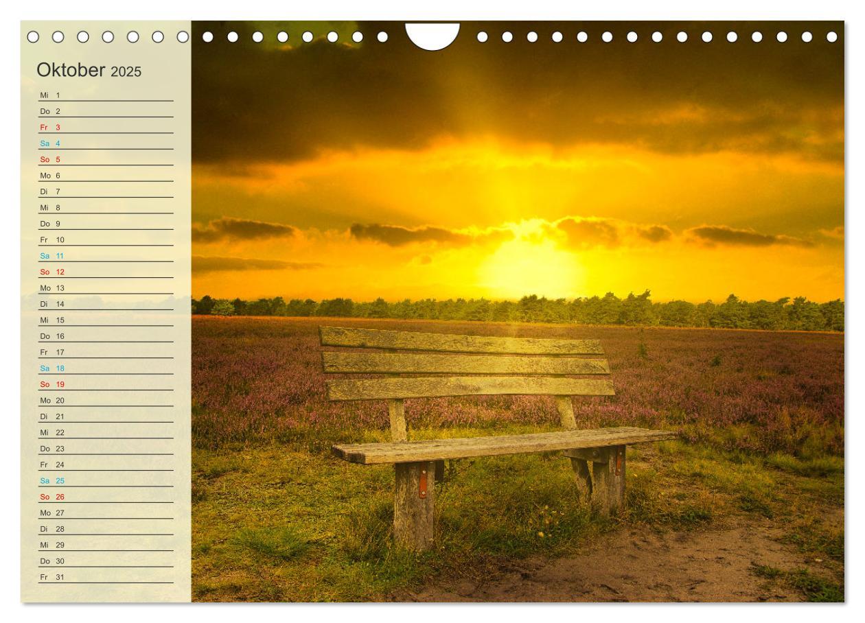 Bild: 9783435091973 | Die Heideblüte (Wandkalender 2025 DIN A4 quer), CALVENDO...