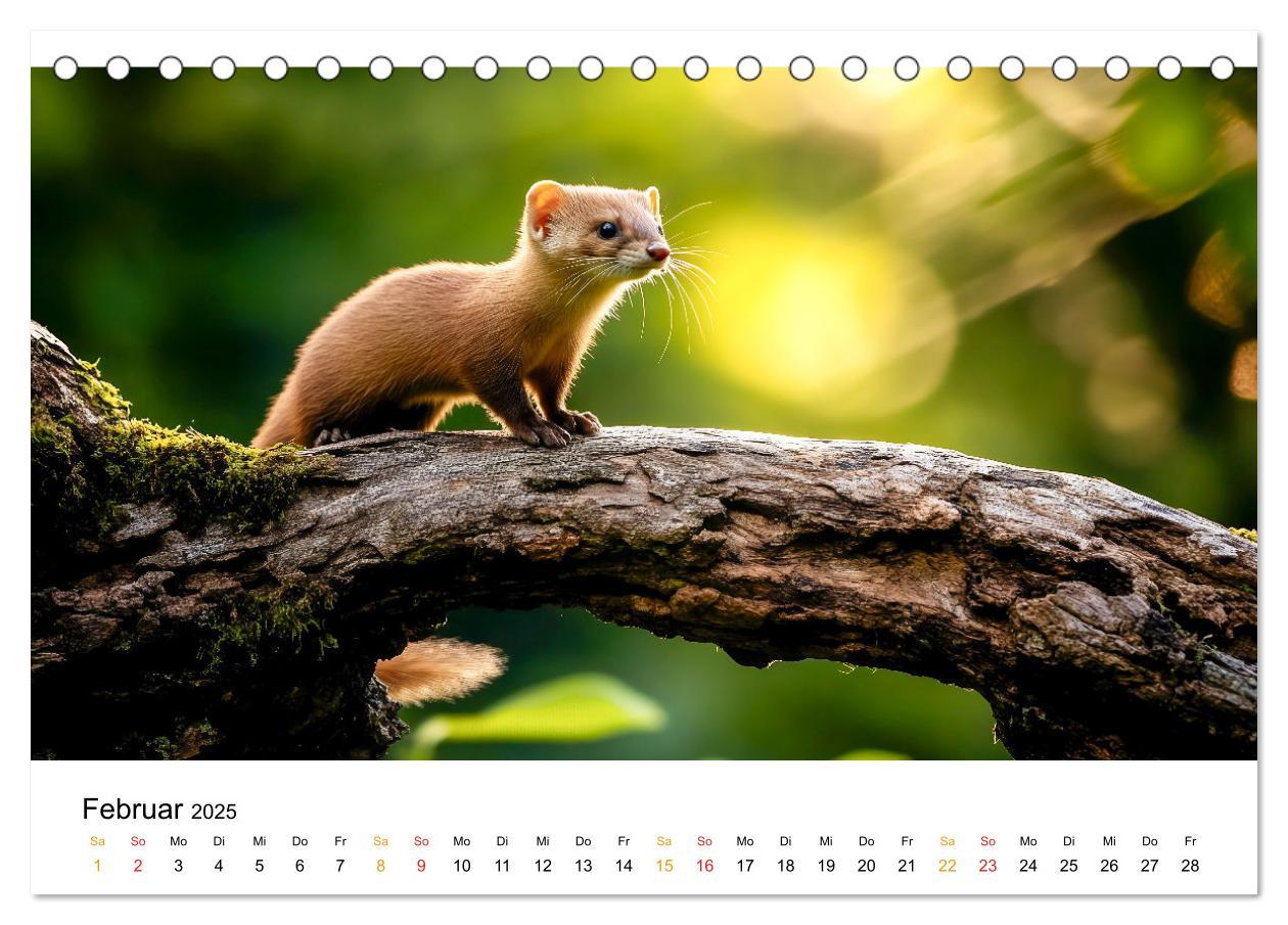 Bild: 9783457212998 | Wilde Tierwelt im Wald (Tischkalender 2025 DIN A5 quer), CALVENDO...