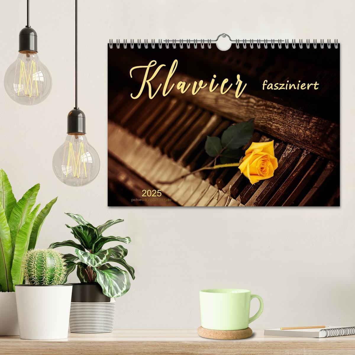 Bild: 9783435469062 | Klavier fasziniert (Wandkalender 2025 DIN A4 quer), CALVENDO...