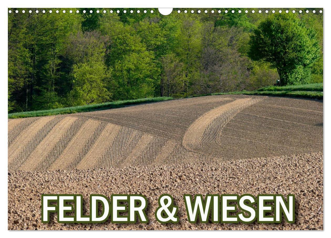 Cover: 9783383571718 | Felder und Wiesen (Wandkalender 2024 DIN A3 quer), CALVENDO...